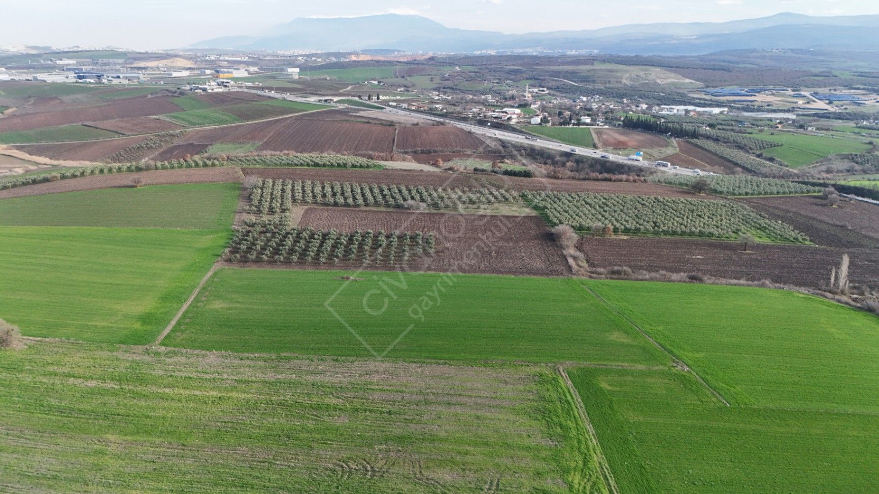 BURSA NİLÜFER BAŞKÖY ' DE 14.875 M² TARLA VASFINDA YATIRIMLIK TARLA 2