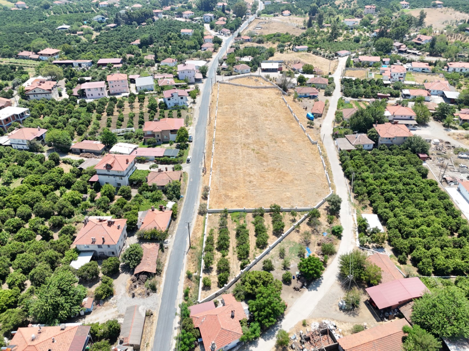 listings