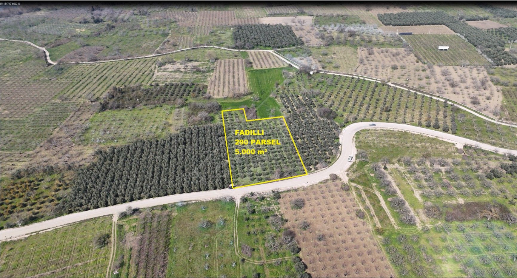 BURSA NİLÜFER FADILLI SATILIK ASFALTA CEPHE ZEYTİN BAHÇESİ 2
