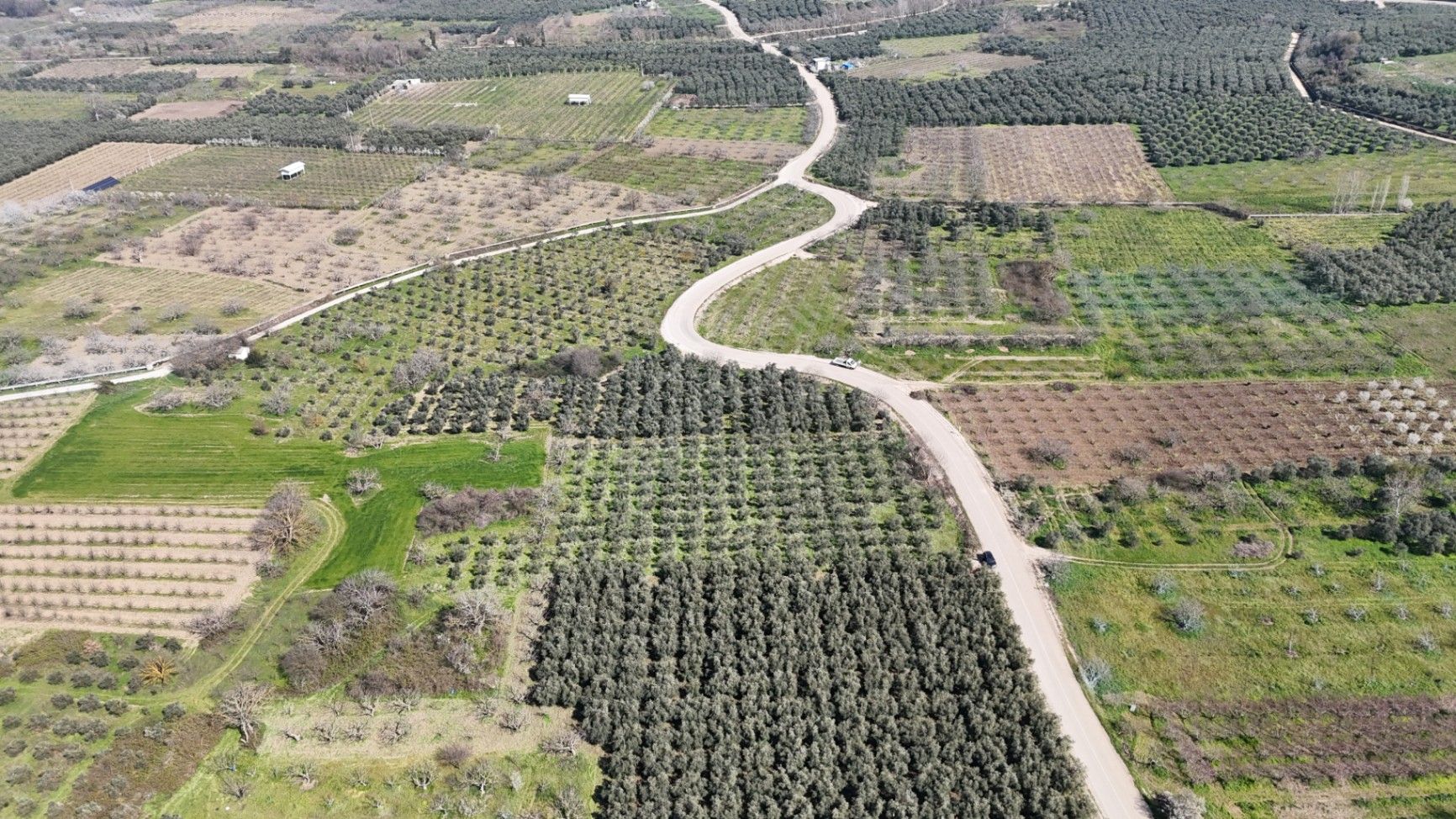 BURSA NİLÜFER FADILLI SATILIK ASFALTA CEPHE ZEYTİN BAHÇESİ 5