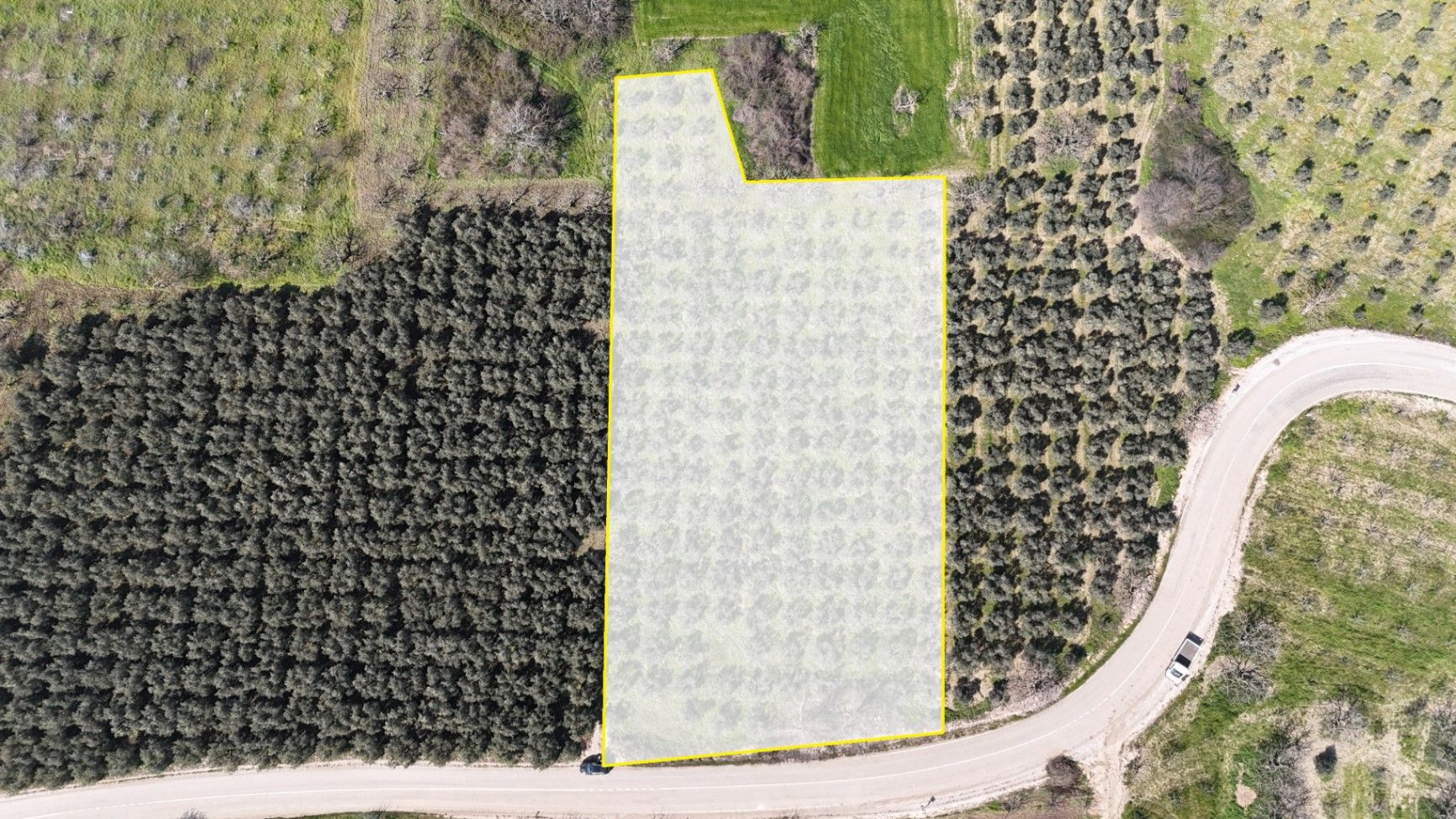 BURSA NİLÜFER FADILLI SATILIK ASFALTA CEPHE ZEYTİN BAHÇESİ 4