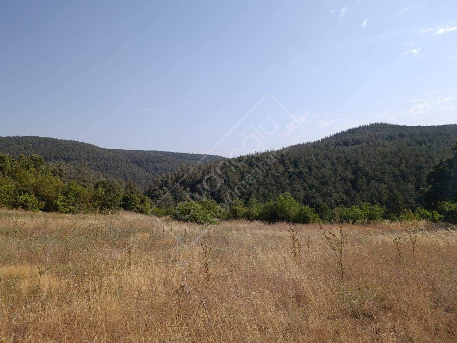 Orhaneli Süleymanbey de yatırımlık arazi 2