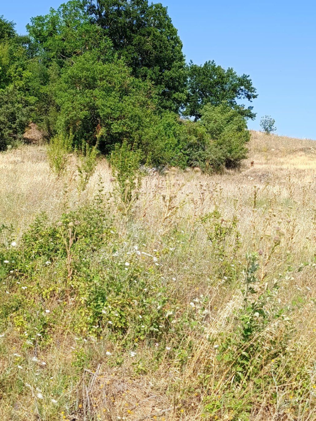 Orhaneli Süleymanbey de yatırımlık arazi 3