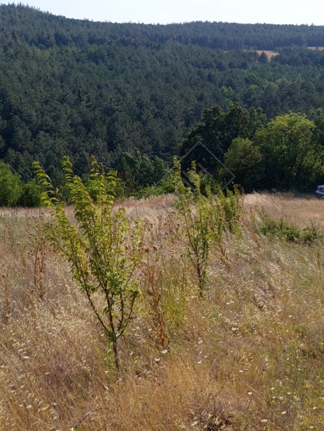 Orhaneli Süleymanbey de yatırımlık arazi 5