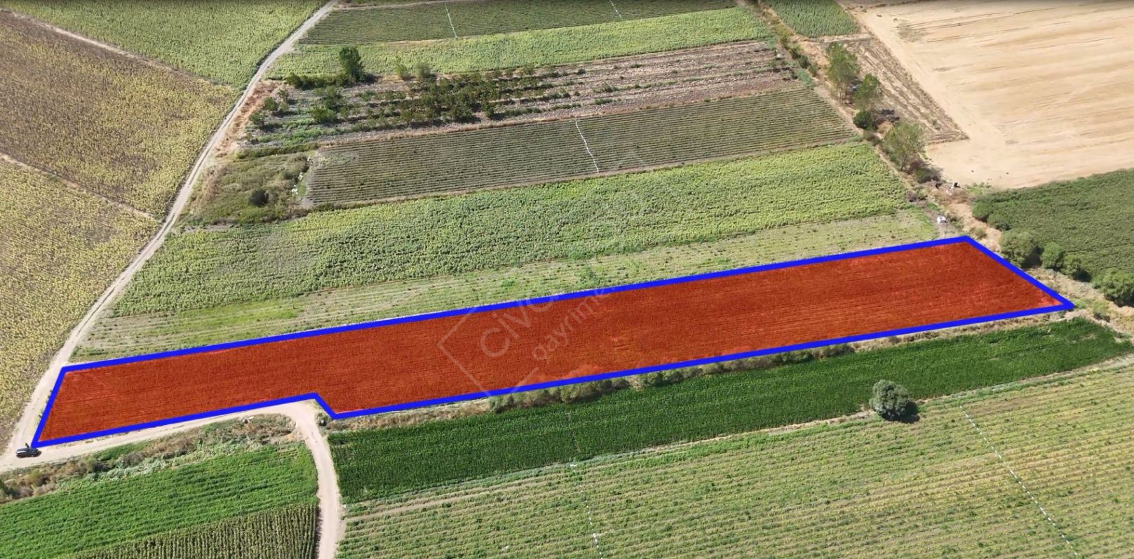 BURSA KARACABEY DANİŞMENT SATILIK YOLA CEPHE TARLA 4
