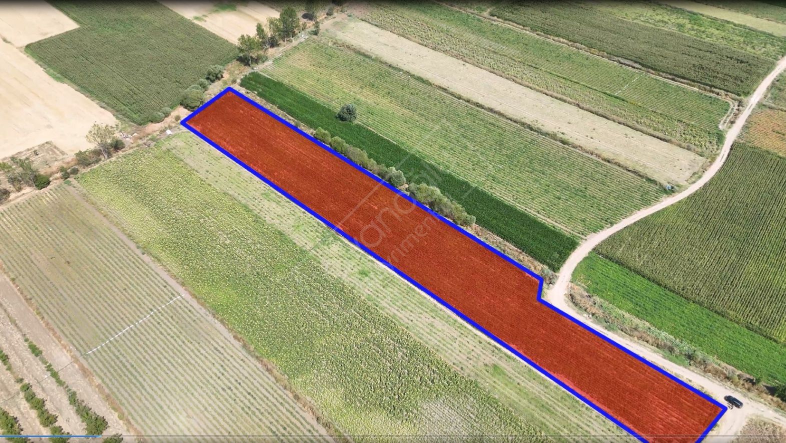 BURSA KARACABEY DANİŞMENT SATILIK YOLA CEPHE TARLA