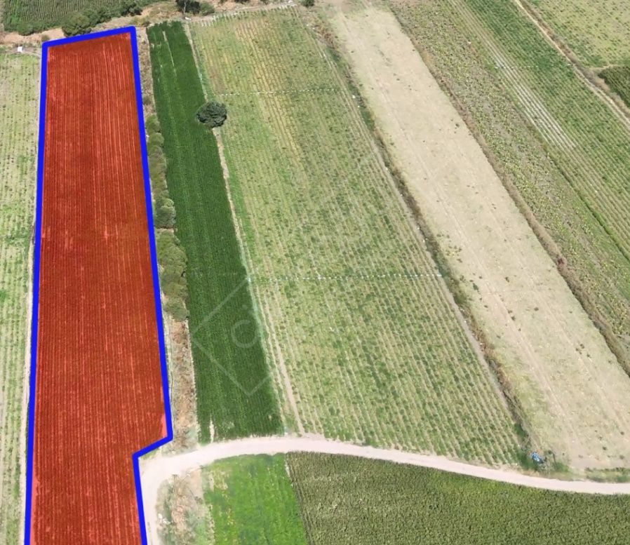 BURSA KARACABEY DANİŞMENT SATILIK YOLA CEPHE TARLA 2