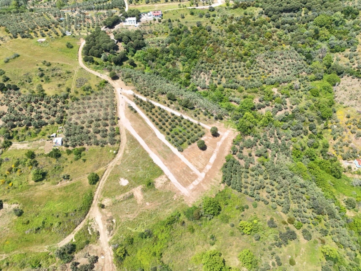 BALIKESİR TATLISU'DA DENİZE YAKIN SATILIK HOBİ BAHÇESİ 2